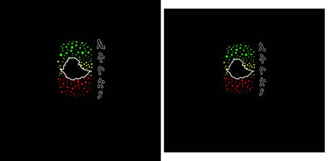 Custom T-Shirt